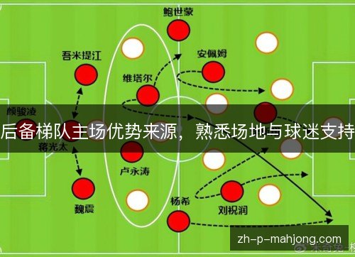 后备梯队主场优势来源,熟悉场地与球迷支持 后备梯队主场优势来源,熟悉场地与球迷支持